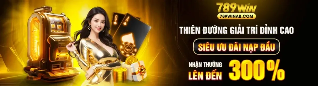 Giới thiệu về nền tảng kuvip